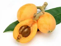 שסק /אקדניה