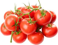 *עגבניות שקולות