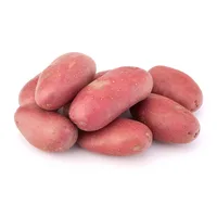 תפוח אדמה אדום