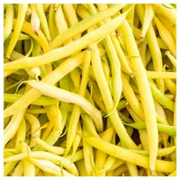 שעועית צהובה