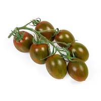 *שירי שוקו /צהוב