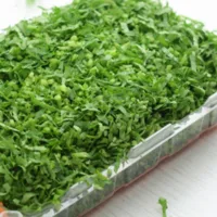 פטרוזיליה פרוס קופסה